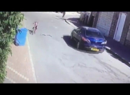  شاهد: حدث في رهط - أفعى تهاجم طفلة 